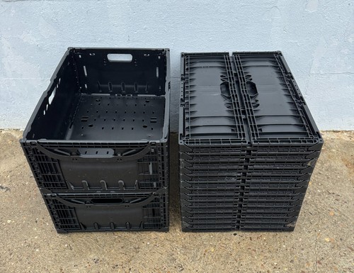Collapsible plastic - 10,